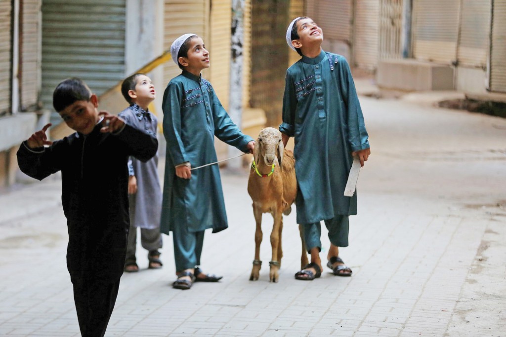 Anadolu Ajansı Gözüyle 2015