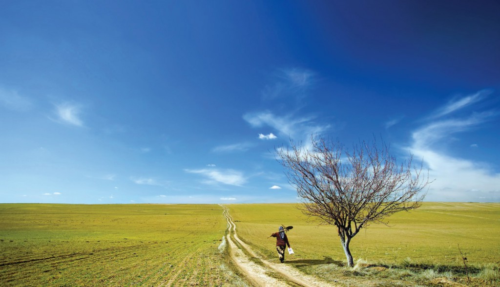 shutterstock_44547481